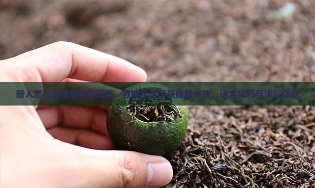 新人怎么去直播卖普洱茶