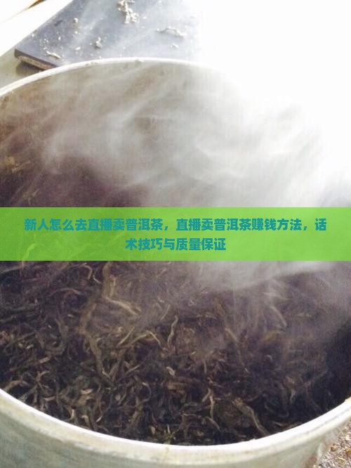 新人怎么去直播卖普洱茶