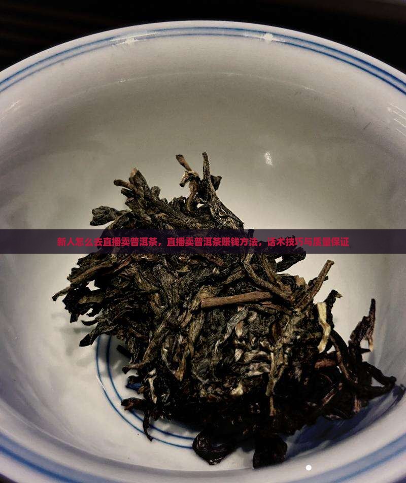 新人怎么去直播卖普洱茶