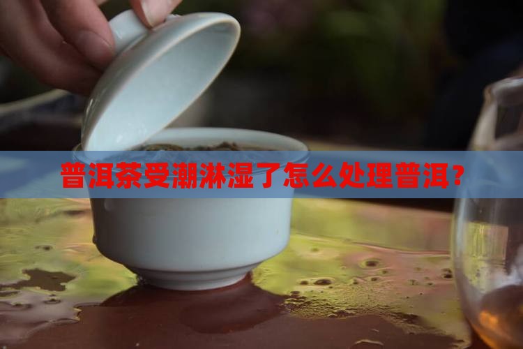 普洱茶淋雨可以晒干再喝吗