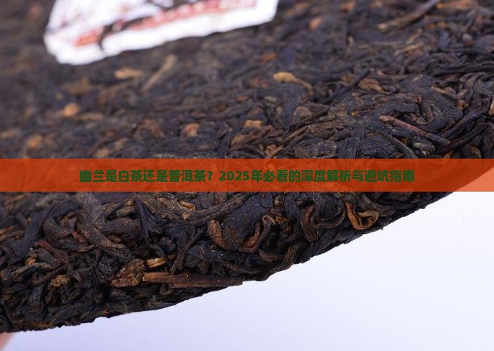 幽兰是白茶还是普洱茶好