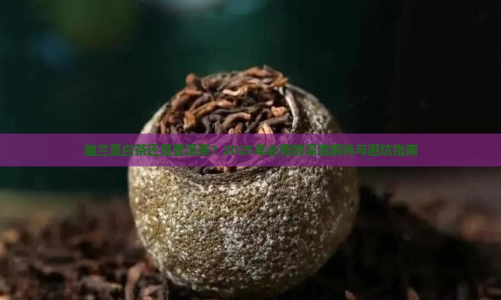 幽兰是白茶还是普洱茶好