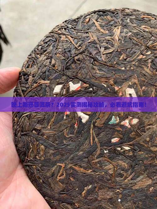 晚上能不能喝熟普洱茶