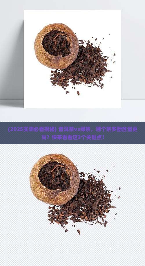 普洱茶与绿茶哪个茶多酚多