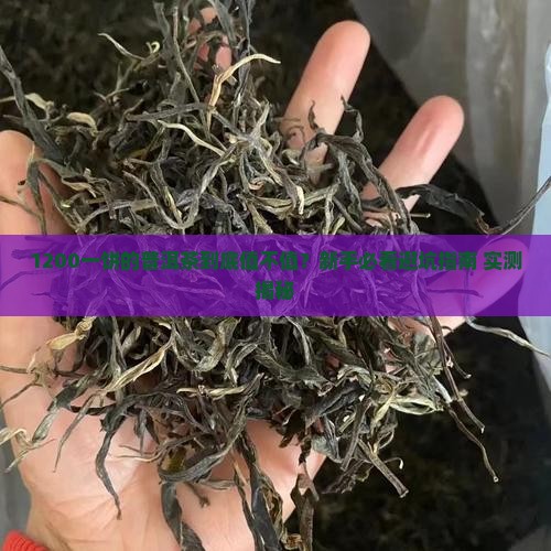 价值1200一饼的普洱茶