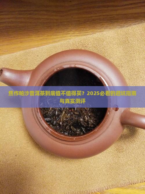 焦作帕沙普洱茶