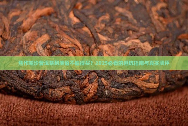 焦作帕沙普洱茶