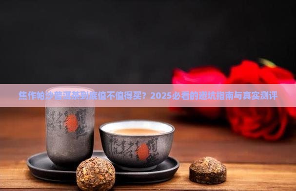 焦作帕沙普洱茶