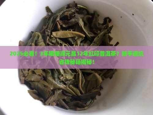 润元昌12年红印普洱茶