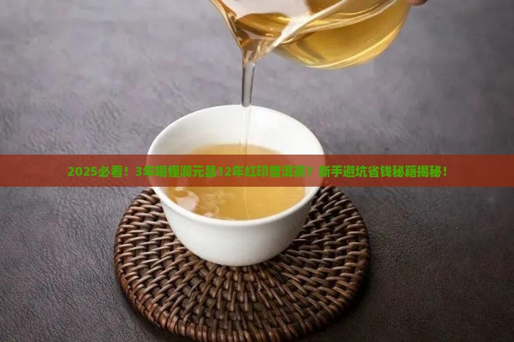 润元昌12年红印普洱茶