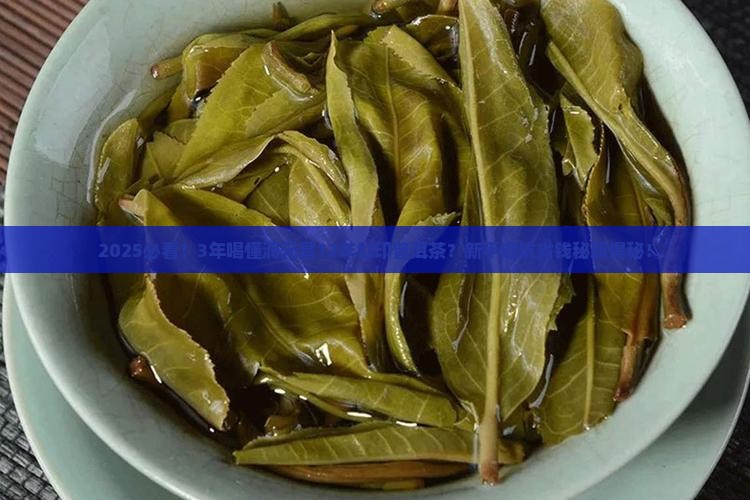 润元昌12年红印普洱茶