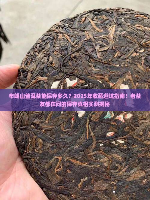 布朗山普洱茶能保存多久