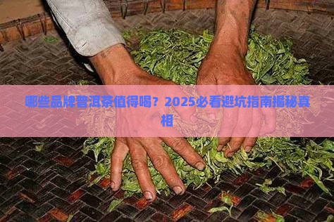 哪些品牌普洱茶