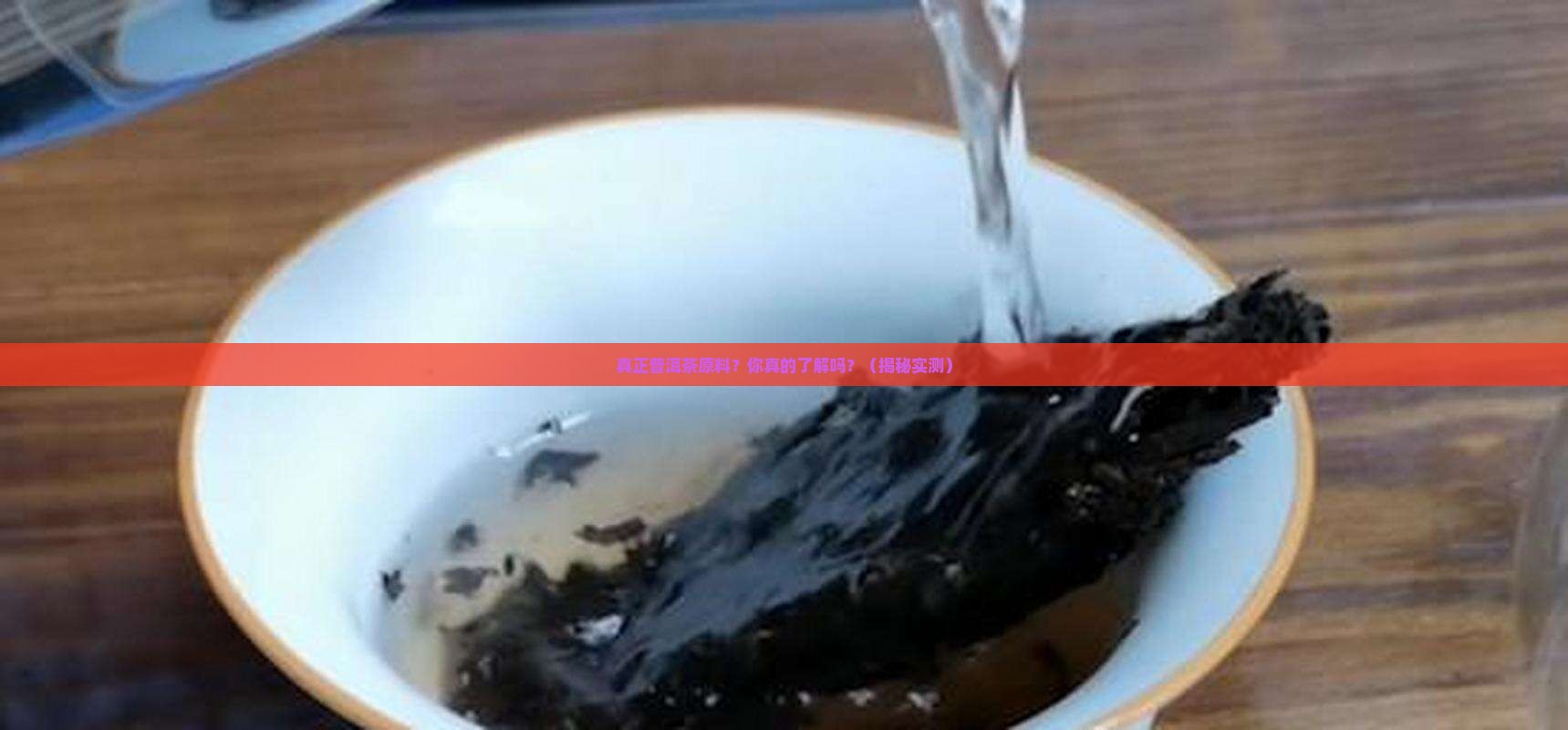 真正普洱茶原料