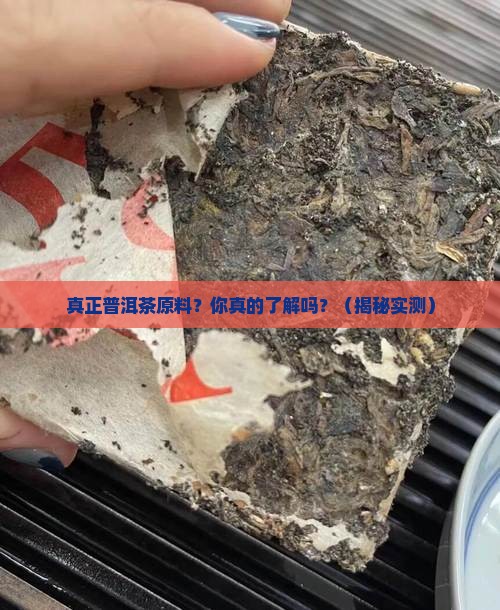 真正普洱茶原料
