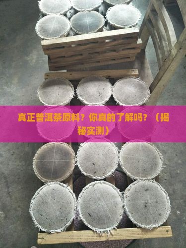 真正普洱茶原料