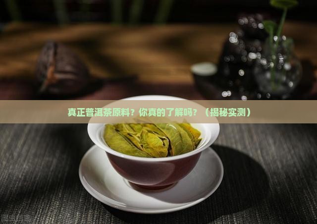 真正普洱茶原料