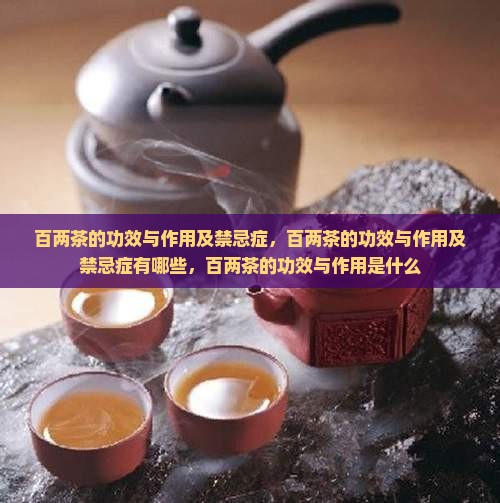 百两茶的功效与作用及禁忌症