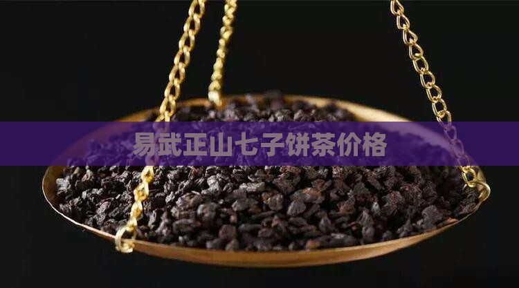 易山正武七子饼茶