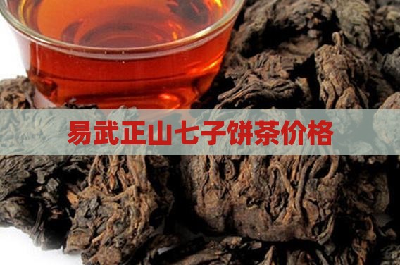易山正武七子饼茶