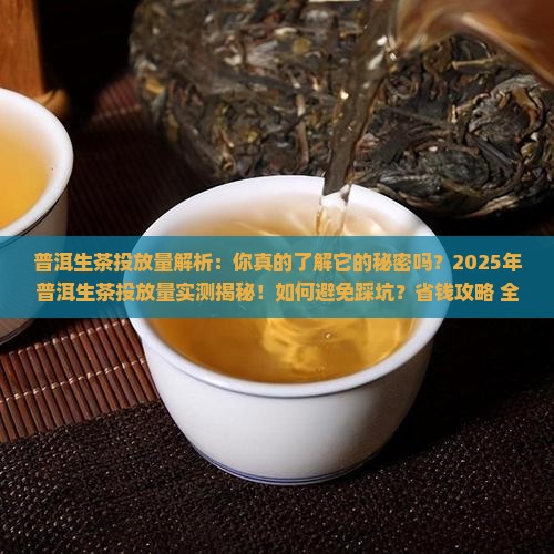 普洱生茶投放量