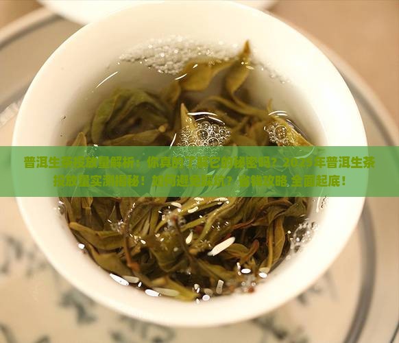 普洱生茶投放量