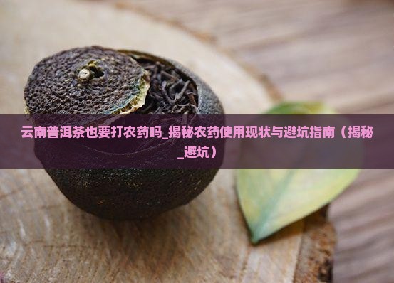 云南普洱茶也要打农药吗