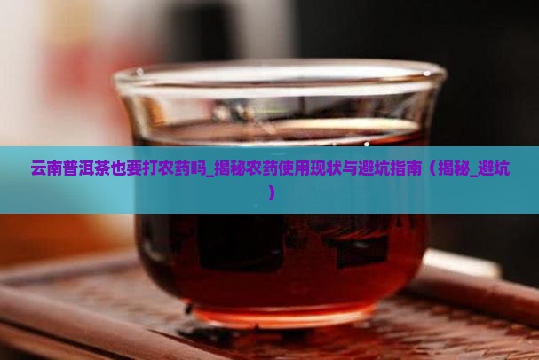 云南普洱茶也要打农药吗
