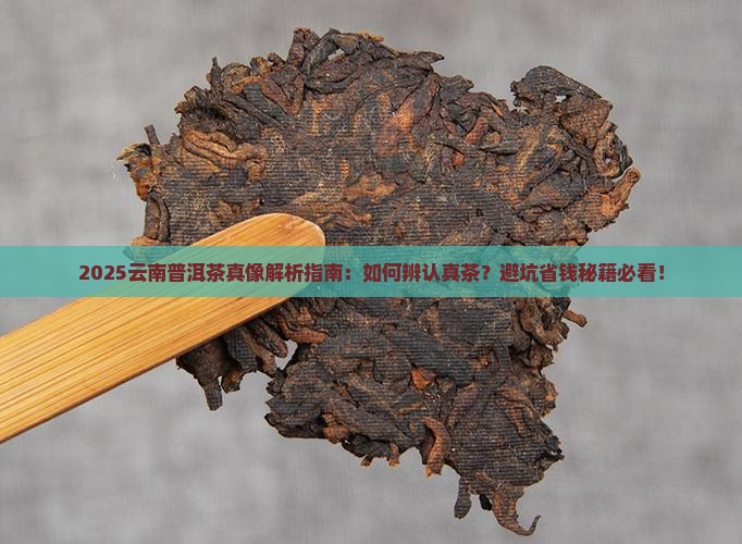 云南普洱茶是真茶吗