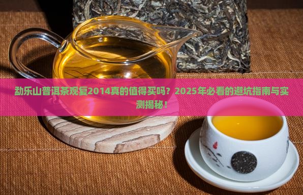 勐乐山普洱茶观复2014
