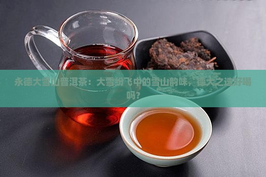 永德大雪山茶好不好喝呀