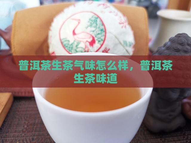 普洱茶生茶气味