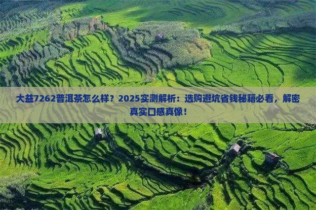 大益7262普洱茶怎么样