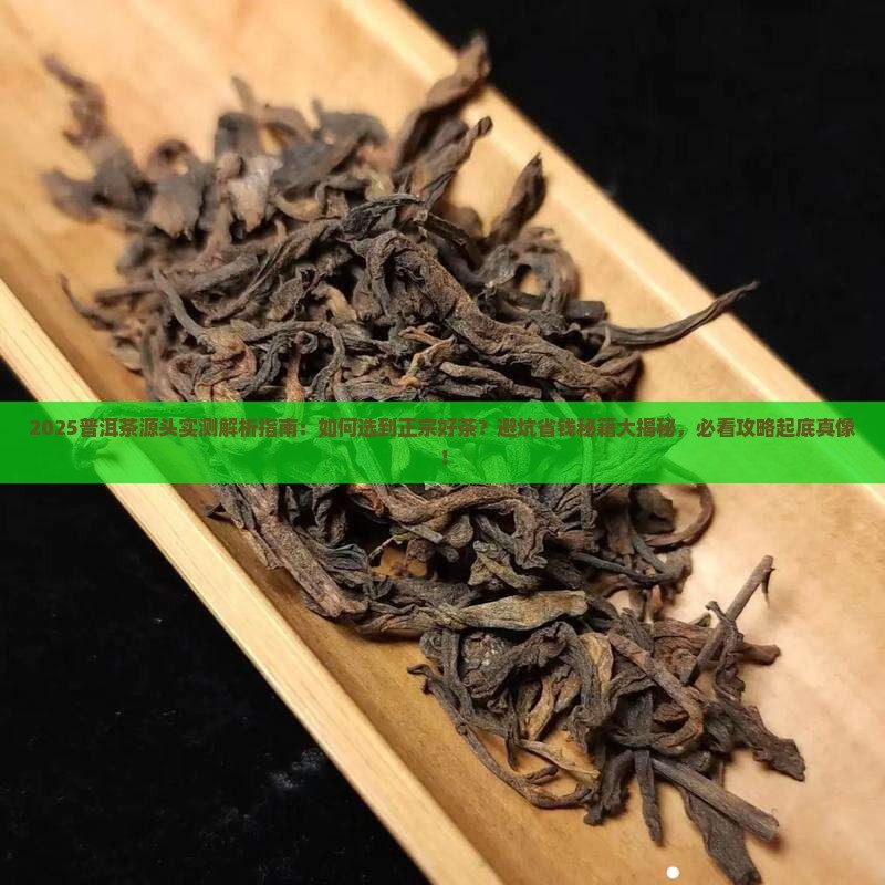 普洱茶源头评测直播