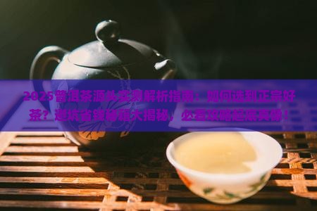 普洱茶源头评测直播