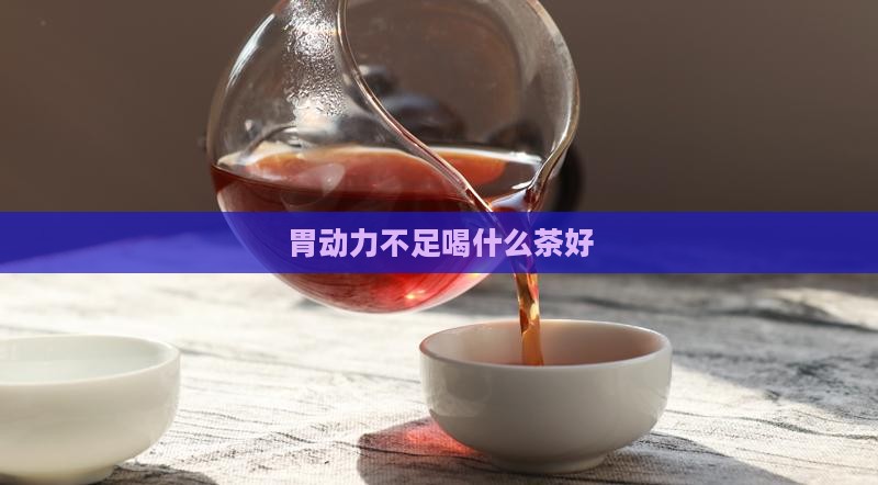 胃动力不足喝什么茶好