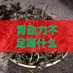 胃动力不足喝什么茶好