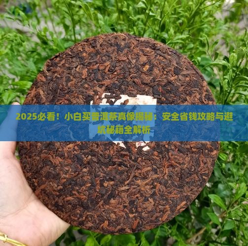 小白买普洱茶是真的吗安全吗