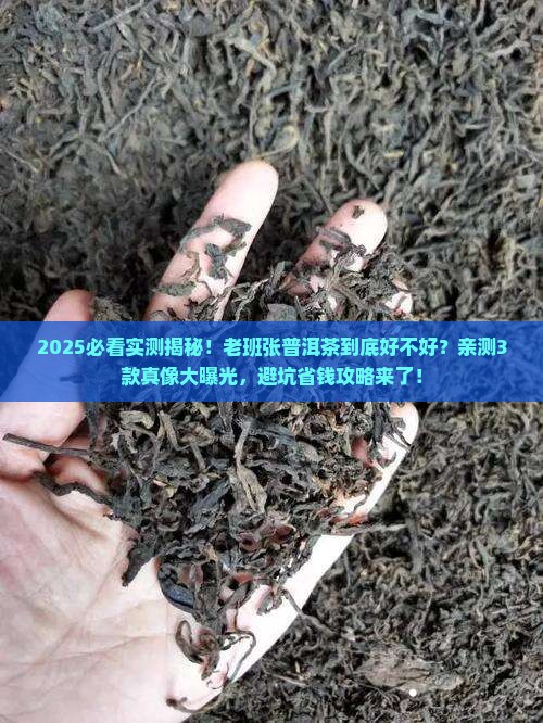 老班张普洱茶好不好