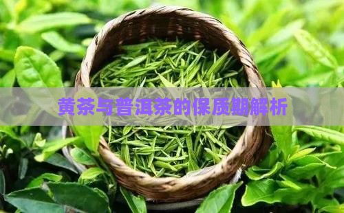 生态黄茶普洱茶保质期