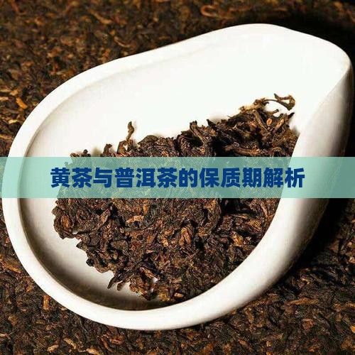 生态黄茶普洱茶保质期