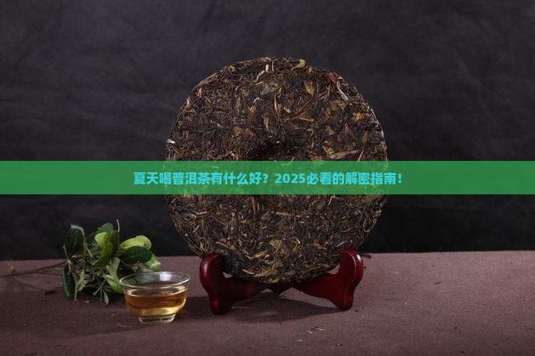 夏天喝普洱茶有什么好茶