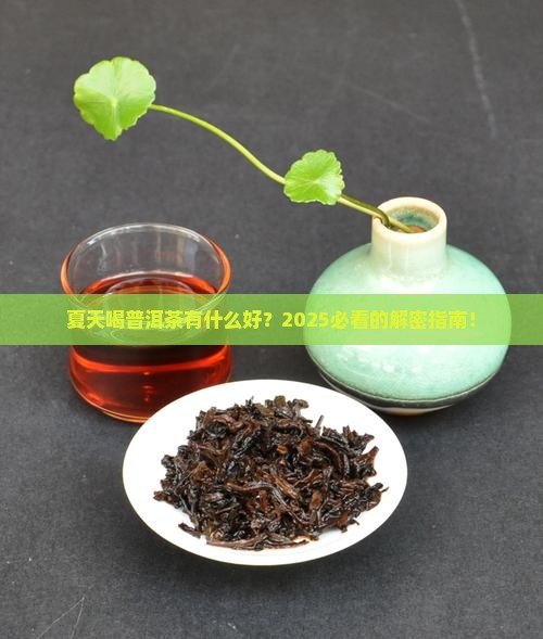 夏天喝普洱茶有什么好茶