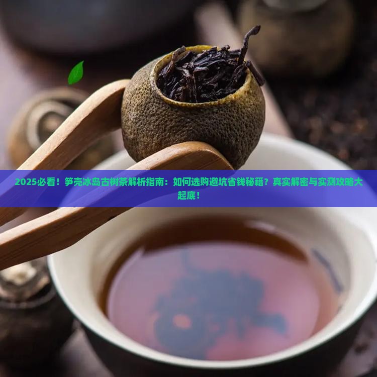 笋壳冰岛古树茶