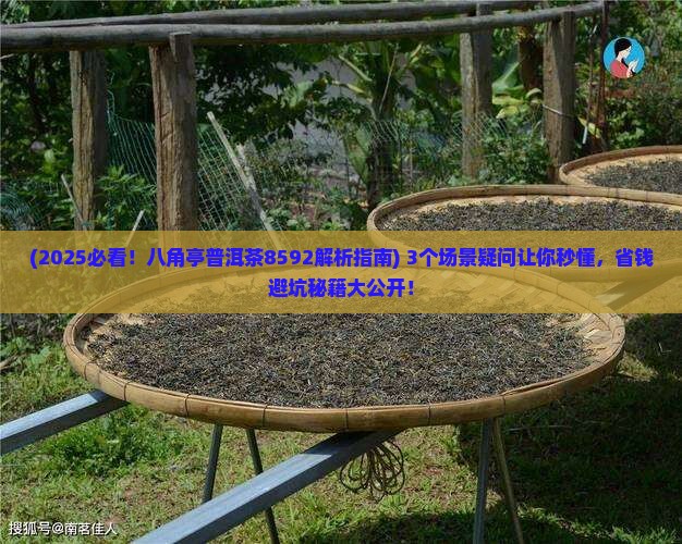 八角亭普洱茶8592