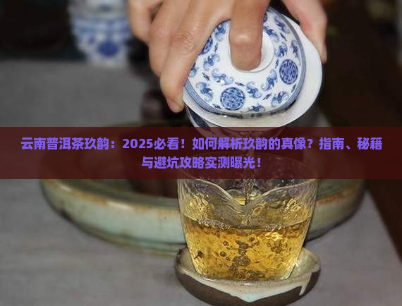 云南普洱茶玖韵