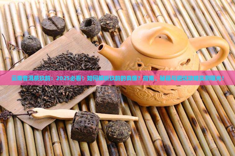云南普洱茶玖韵