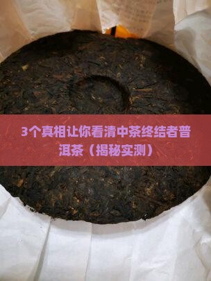 中茶终结者普洱茶
