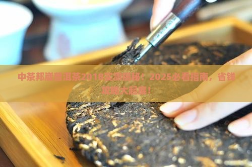 中茶邦崴普洱茶2018