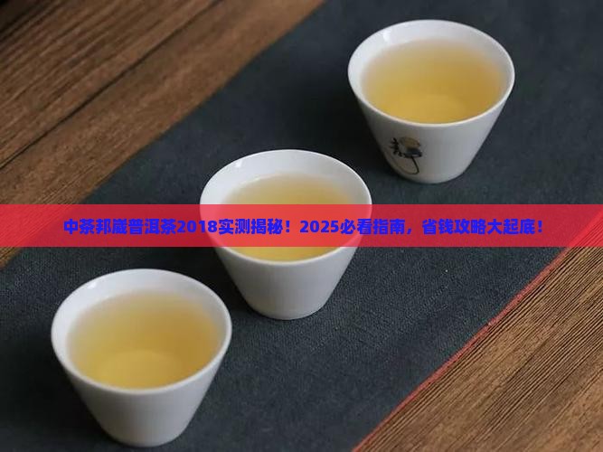 中茶邦崴普洱茶2018